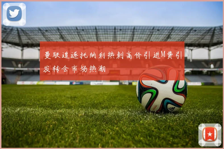 曼联追逐托纳利热刺高价引进M费引发转会市场热潮