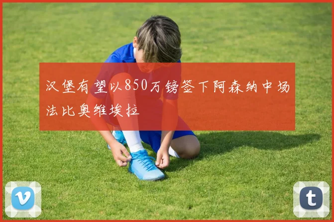 汉堡有望以850万镑签下阿森纳中场法比奥维埃拉